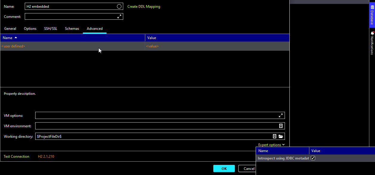 Data source advanced tab