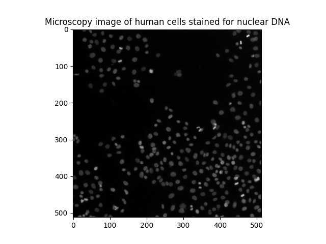 Image of multiple cells