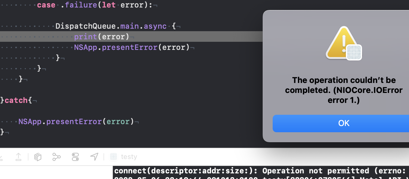 XCode console