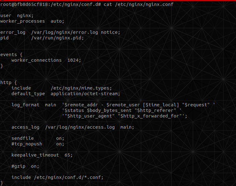 /etc/nginx/nginx.conf