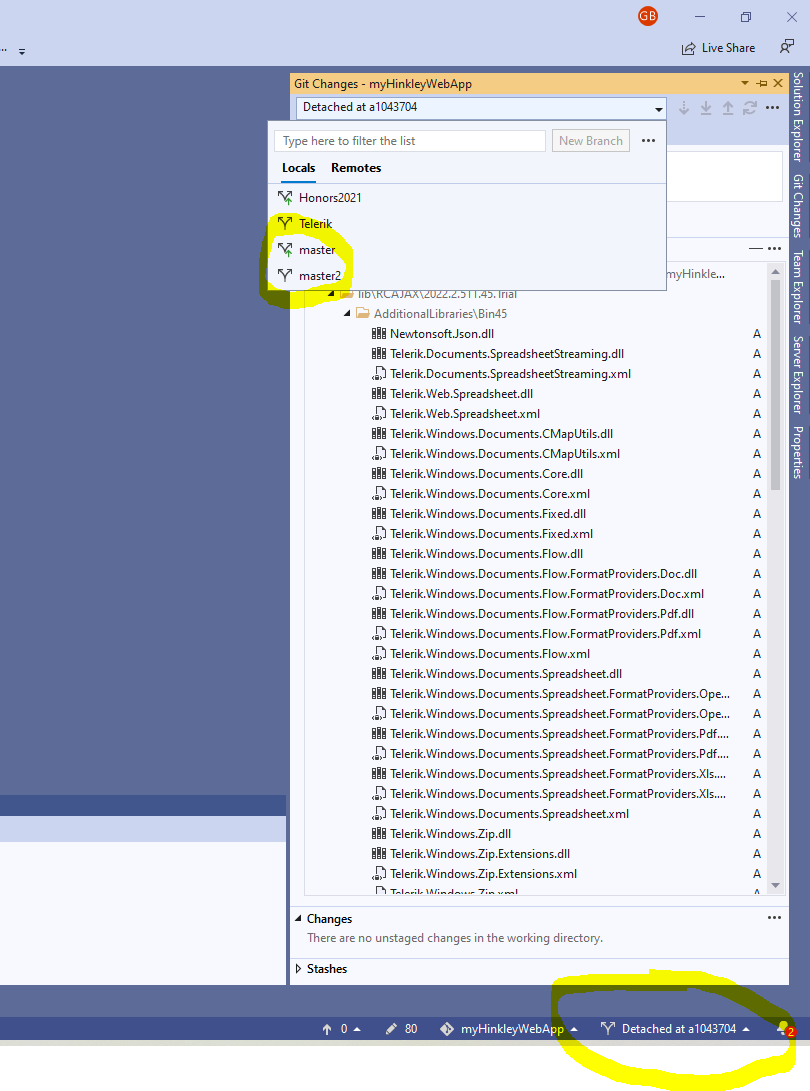 Visual Studio Branch View