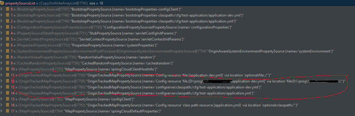 Environment runtime snapshot