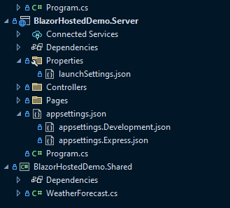 Appsettings files on the server project