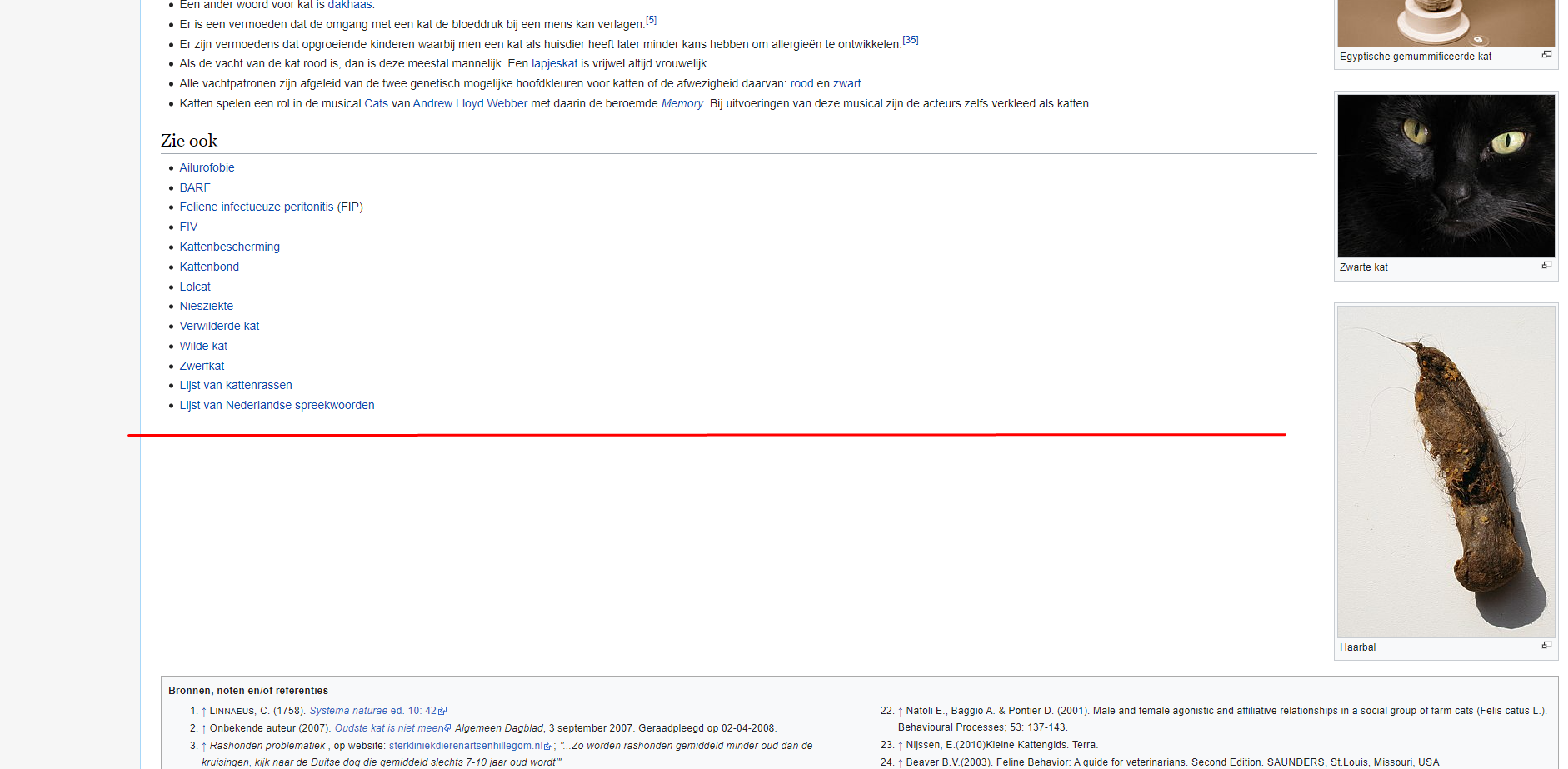 screenshot of Wikipedia page with red line