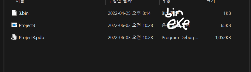 I put bin file and project.exe file together