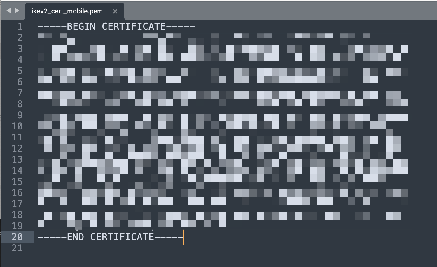 paste key to file and save with .pem