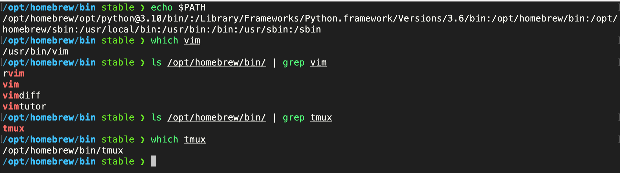 the situation when I execute vim and tmux in shell