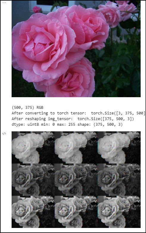 image displayed using pil