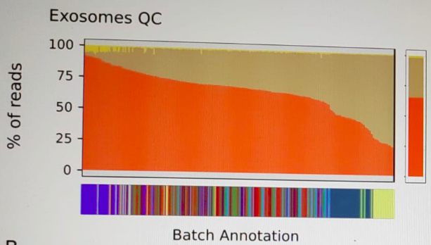 Colored bars