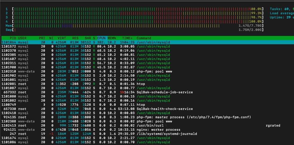 Process list via htop