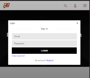 Login Interface, kindly note the margin top above it