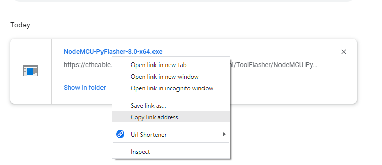 context menu of file from chrome downloads page