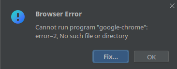 browser error