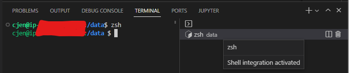 And manually entering zsh works as well