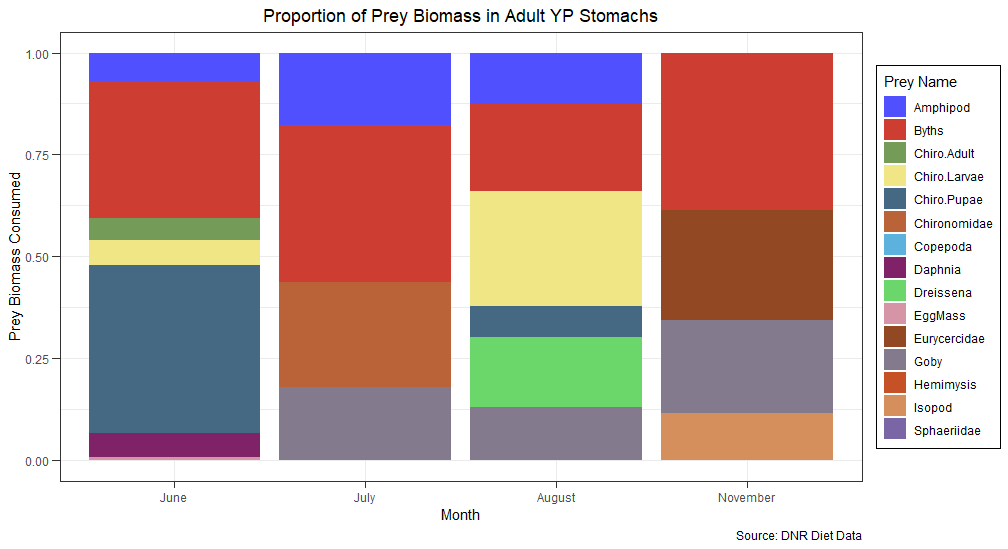 Main Plot