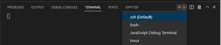 Launching a shell integrated zsh terminal