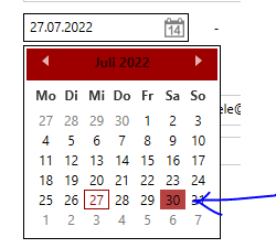 DatePicker with an opened Calendar where the mouse is over a day.