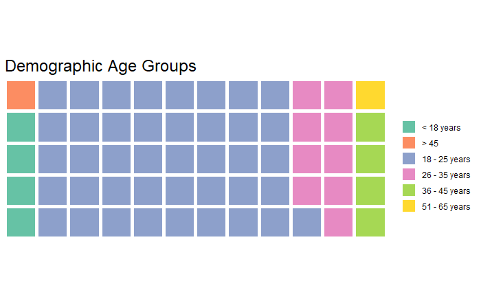 Demographic Age Groups