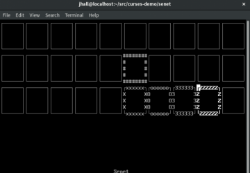 Picture of ncurses terminal window