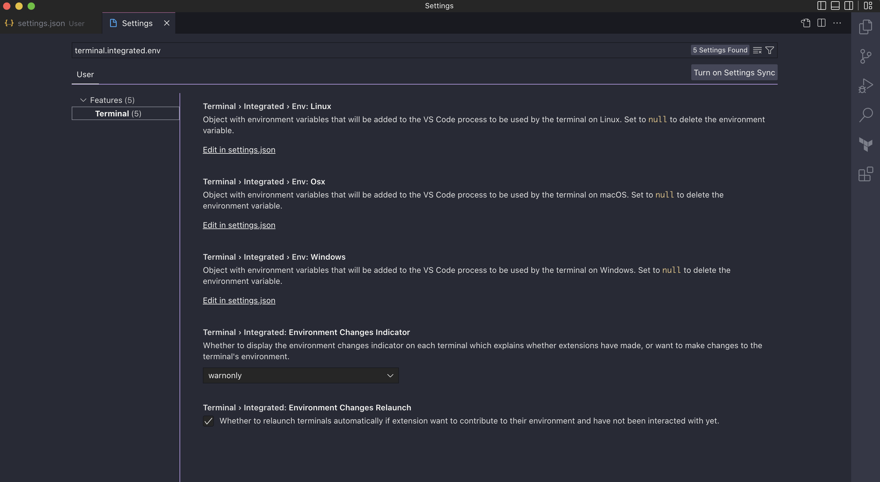 screenshot of VS Code's settings UI with terminal.integrated.env filtered