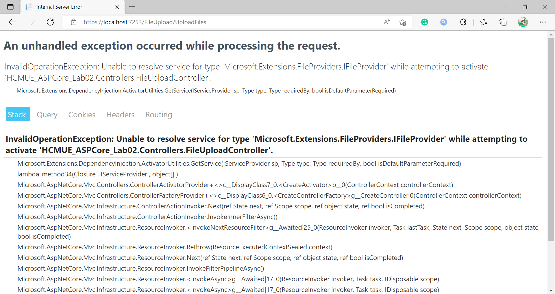 Error unable to resolve service for type 'Microsoft.Extensions.FileProviders.IFileProvider'