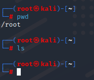 Image - not showing the content of root directory