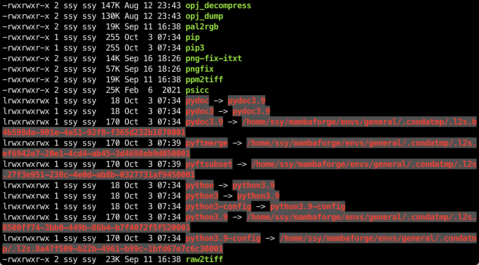 ls -lh in /home/ssy/mambaforge/envs/general/bin