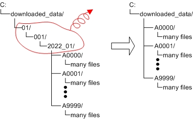 Data hierarchy