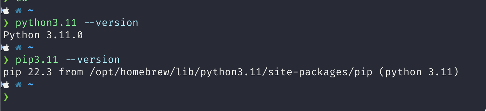 python and pip 3.11