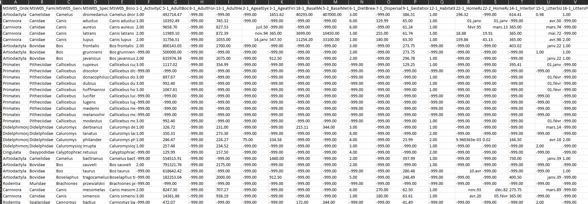 CSV File