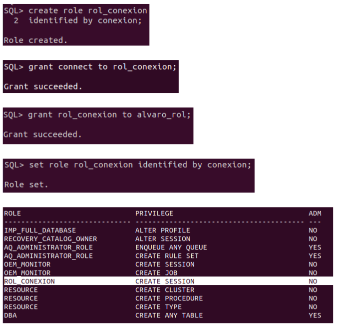 Steps for creating a connection role with password