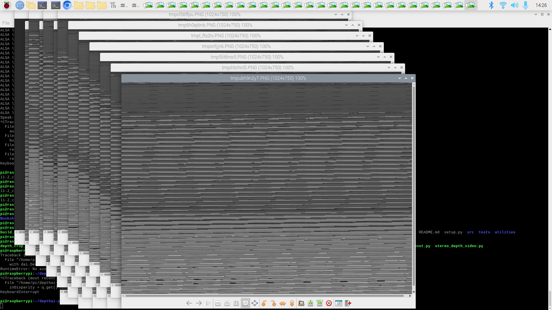 output from reshaped np.uint, nonsense!