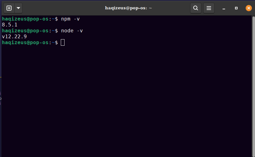 Node and NPM version