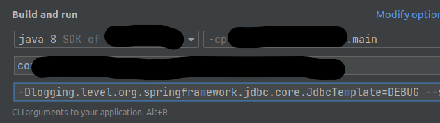 IntelliJ run configuration