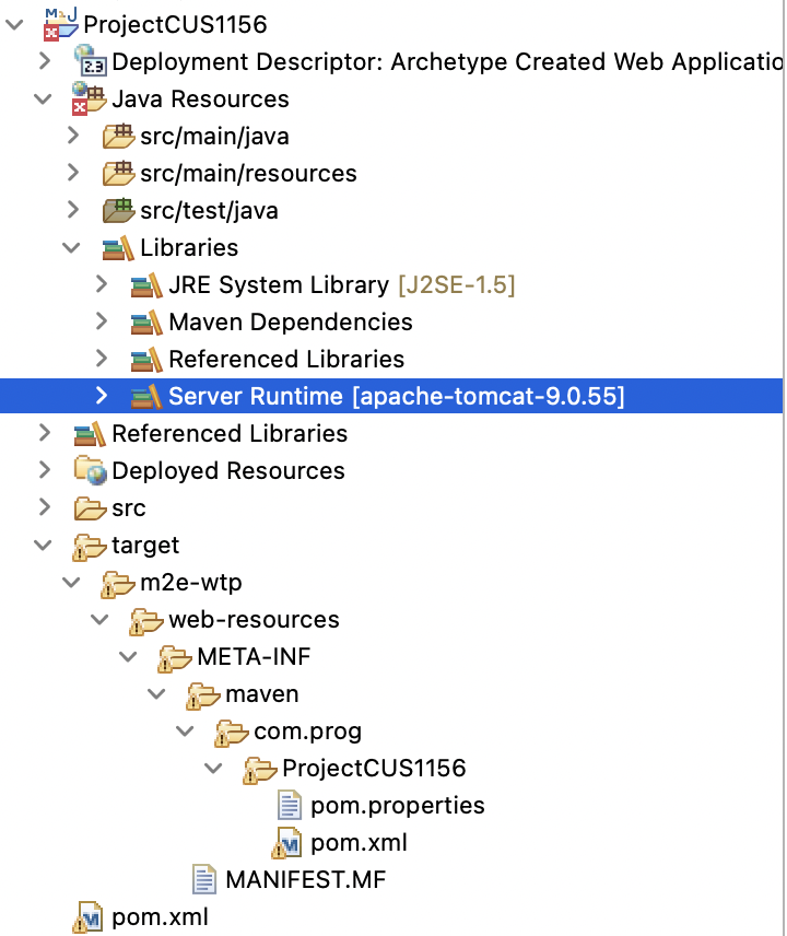 projectview