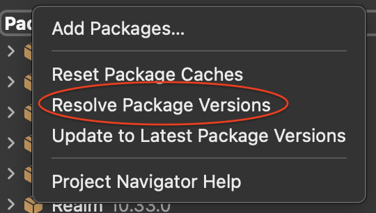 screenshot of Resolve Package Versions