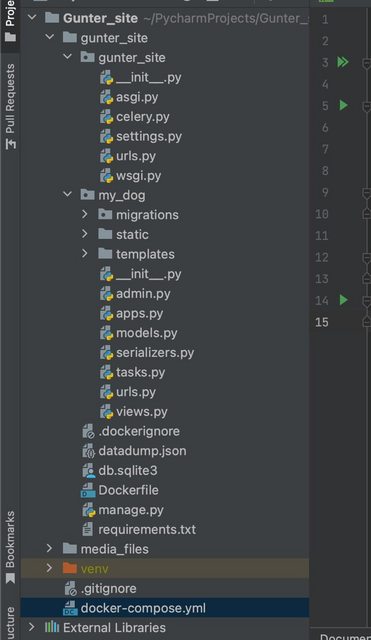 Project structure