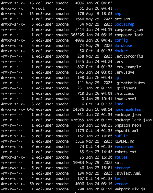 screenshot of my root directory