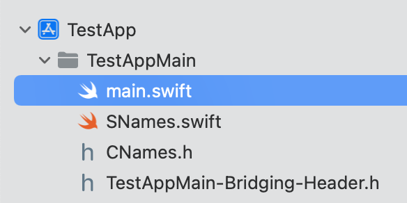 Project Hierarchy showing all four files in TestAppMain Group in TestApp Project