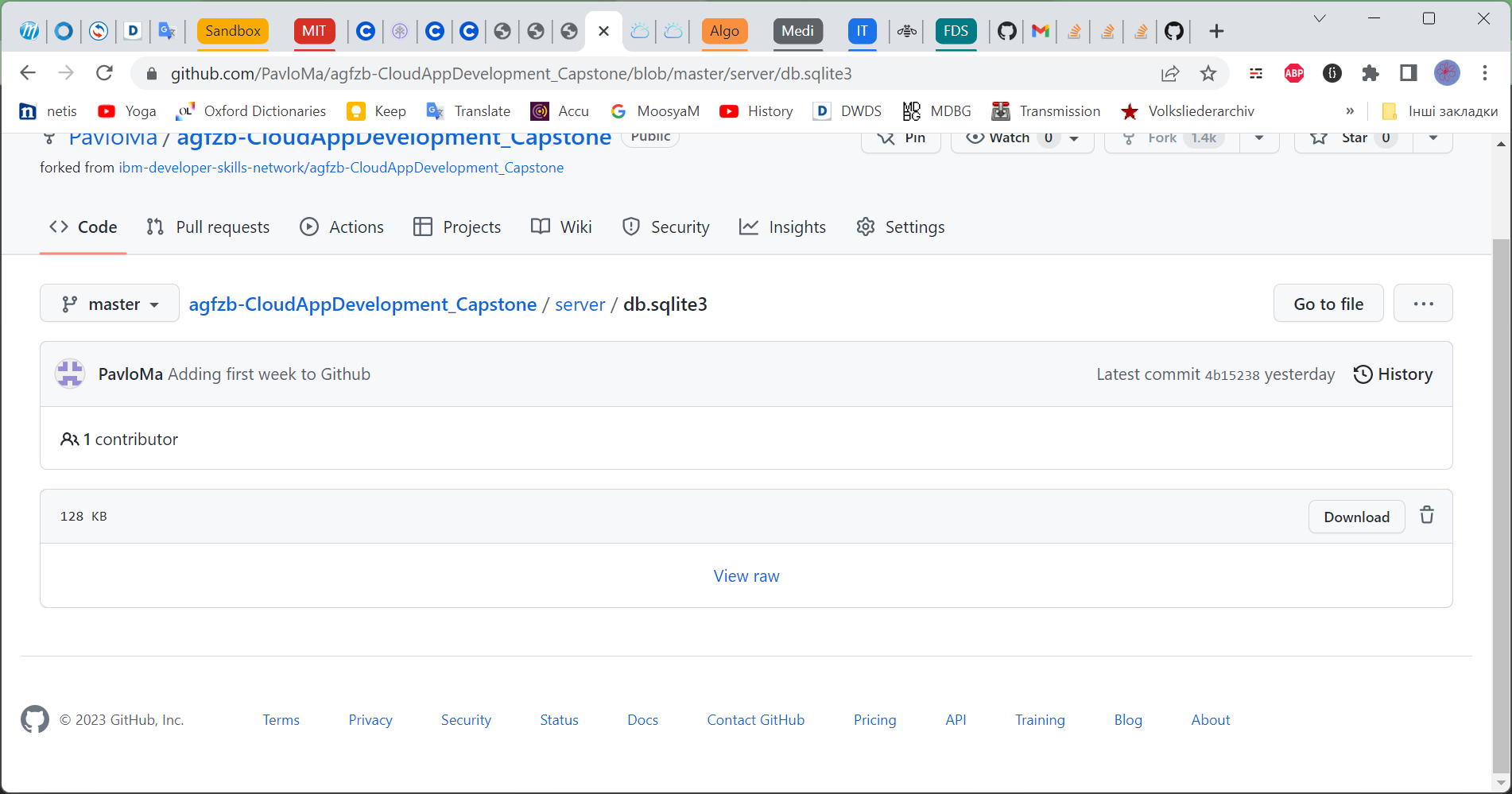 GITHUB interface