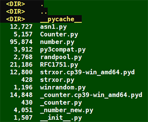 lib\site-packages\Crypto\Util