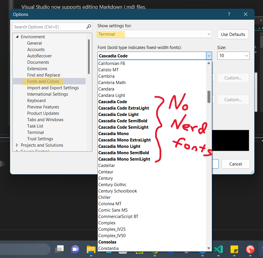 Screenshot displaying Nerd Fonts not being available for the Terminal in Visual Studio
