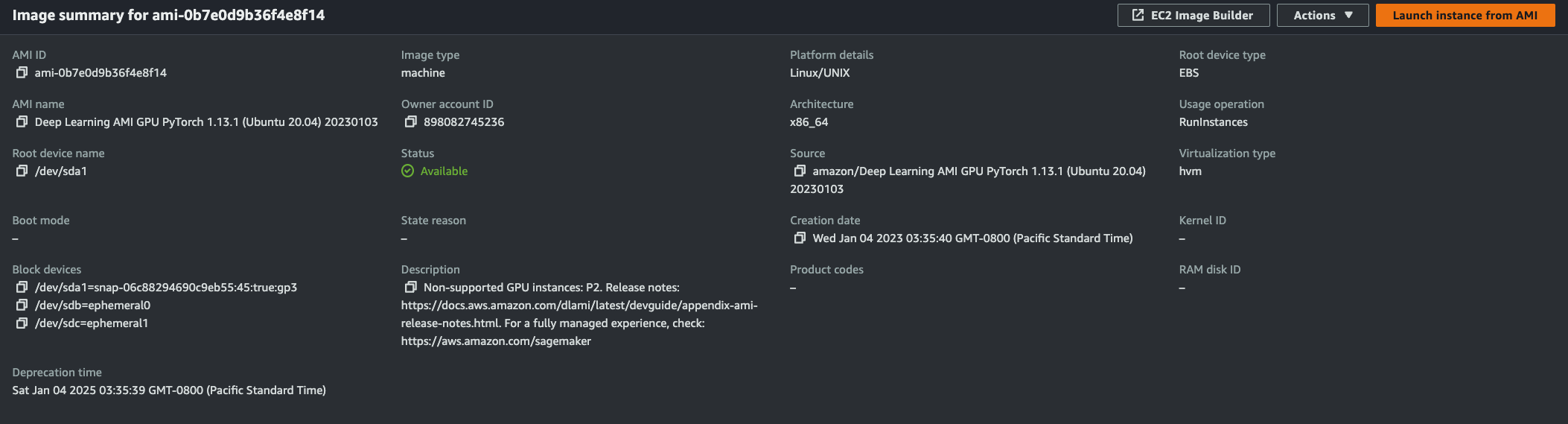 PyTorch AMI with two volumes