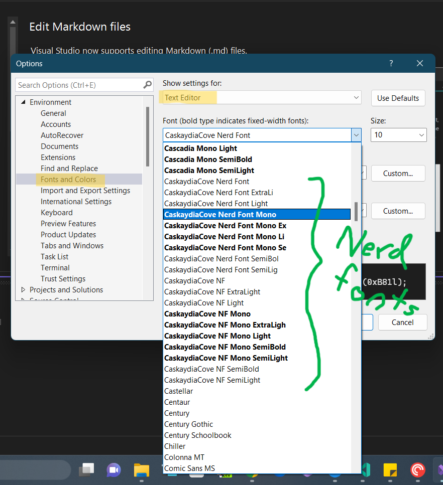 Screenshot displaying Nerd Fonts being available for the Text Editor in Visual Studio